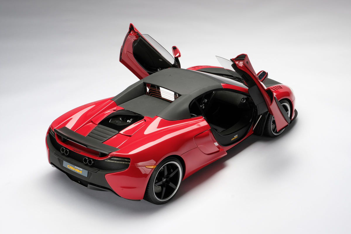 マクラーレン 650S Can-Am - Tailor Made