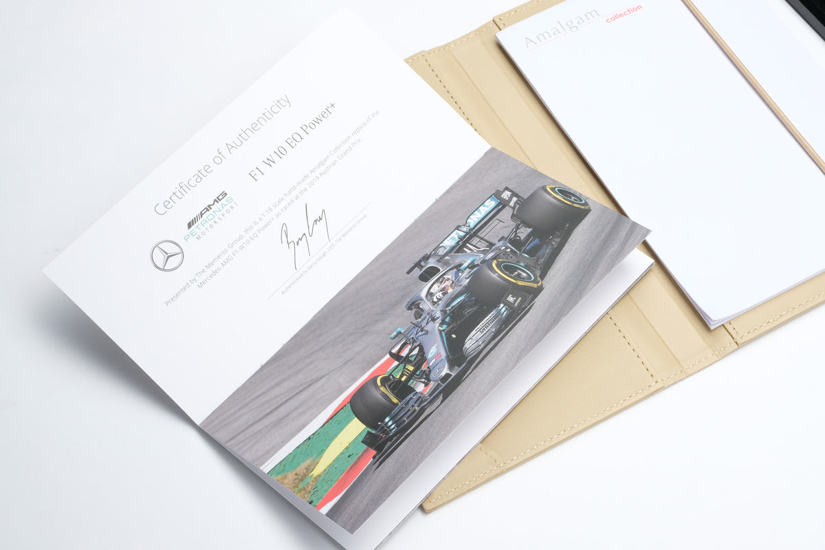 Mercedes-AMG F1 W10 EQ Power+ - Lackierung der Saison 2019 - Lewis Hamilton